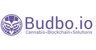 BUDBO project screenshot