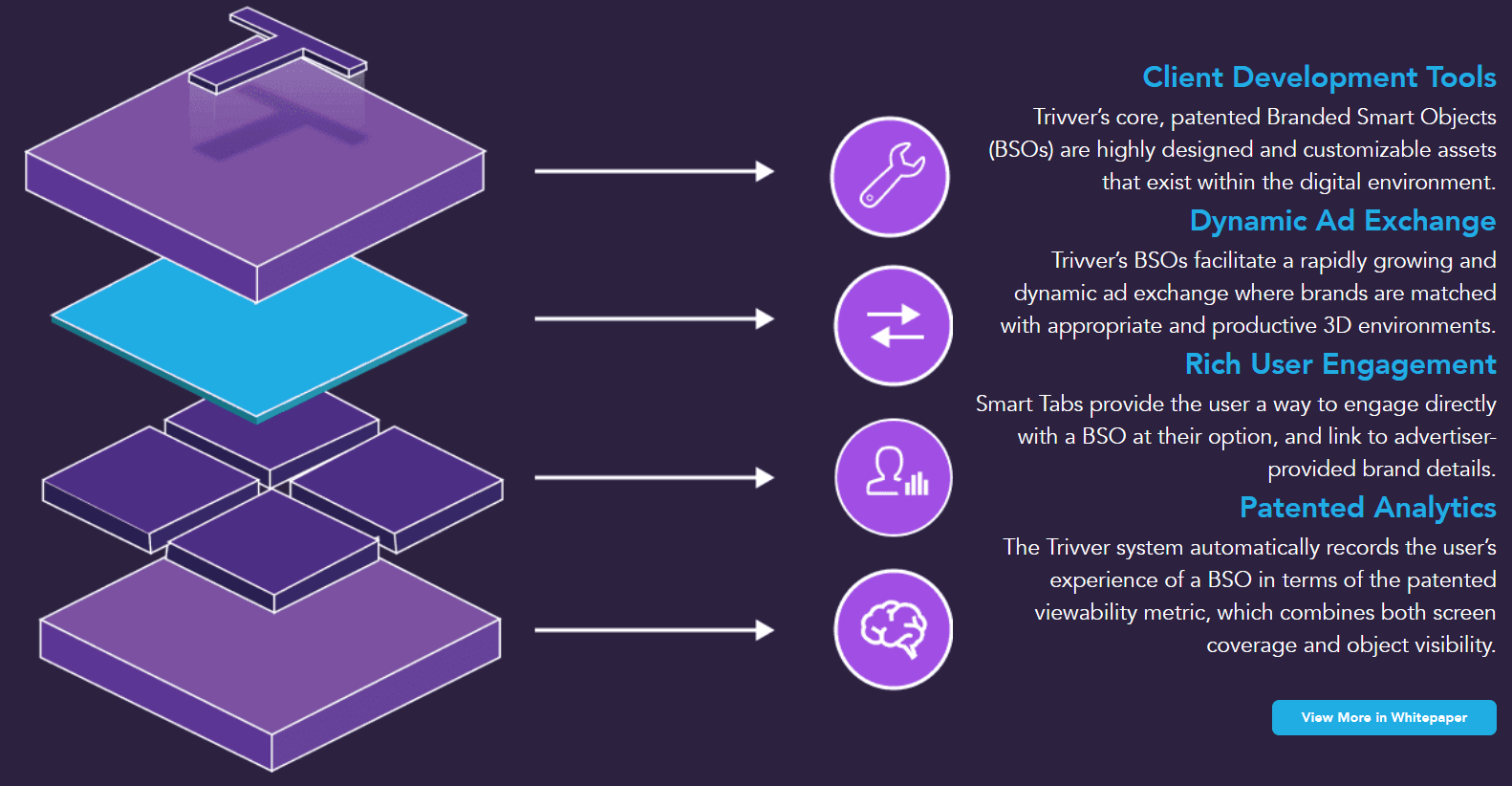 trivver project screenshot